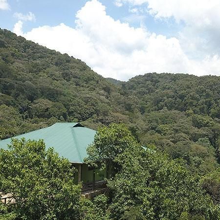 Gorilla Hills Eco-Lodge Kisoro Ngoại thất bức ảnh