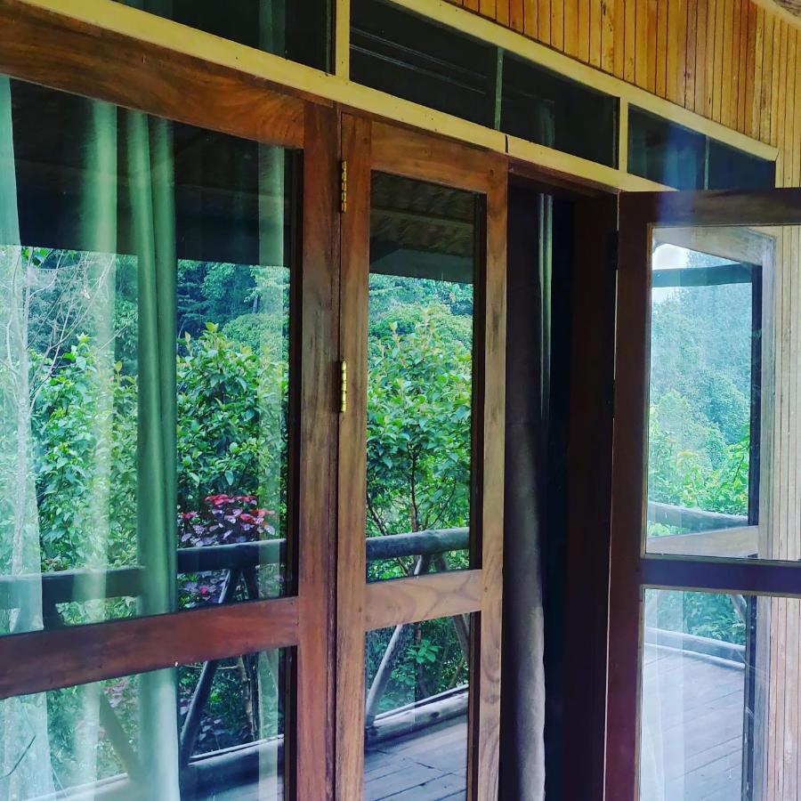 Gorilla Hills Eco-Lodge Kisoro Ngoại thất bức ảnh
