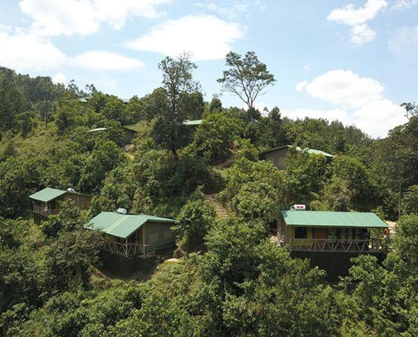Gorilla Hills Eco-Lodge Kisoro Ngoại thất bức ảnh