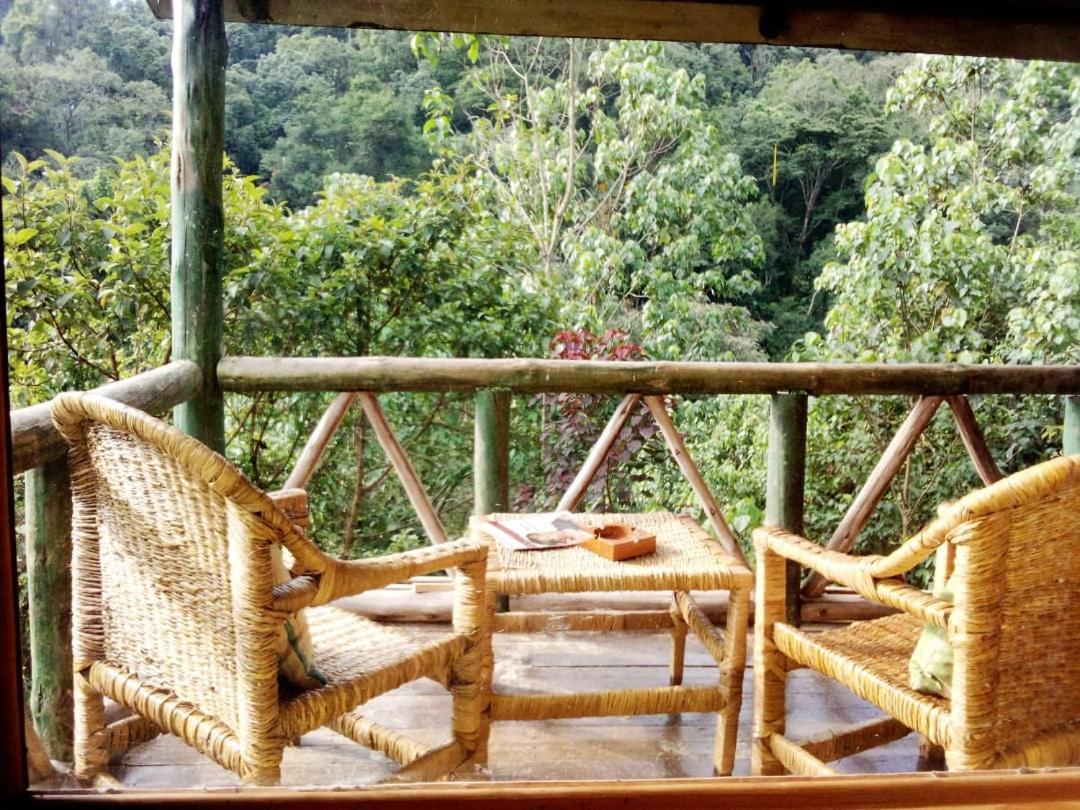 Gorilla Hills Eco-Lodge Kisoro Ngoại thất bức ảnh