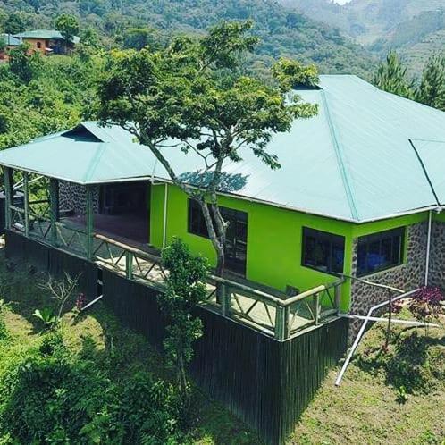 Gorilla Hills Eco-Lodge Kisoro Ngoại thất bức ảnh