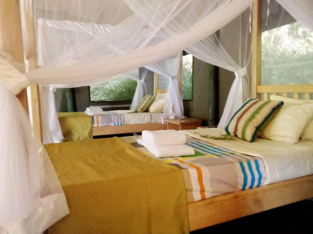 Gorilla Hills Eco-Lodge Kisoro Ngoại thất bức ảnh