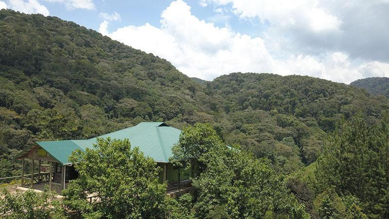 Gorilla Hills Eco-Lodge Kisoro Ngoại thất bức ảnh