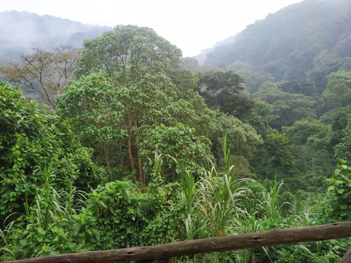 Gorilla Hills Eco-Lodge Kisoro Ngoại thất bức ảnh