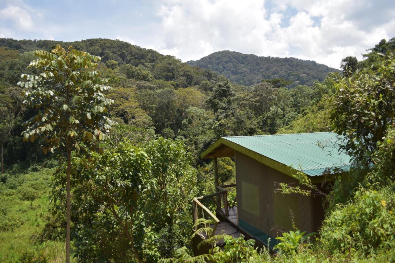Gorilla Hills Eco-Lodge Kisoro Ngoại thất bức ảnh