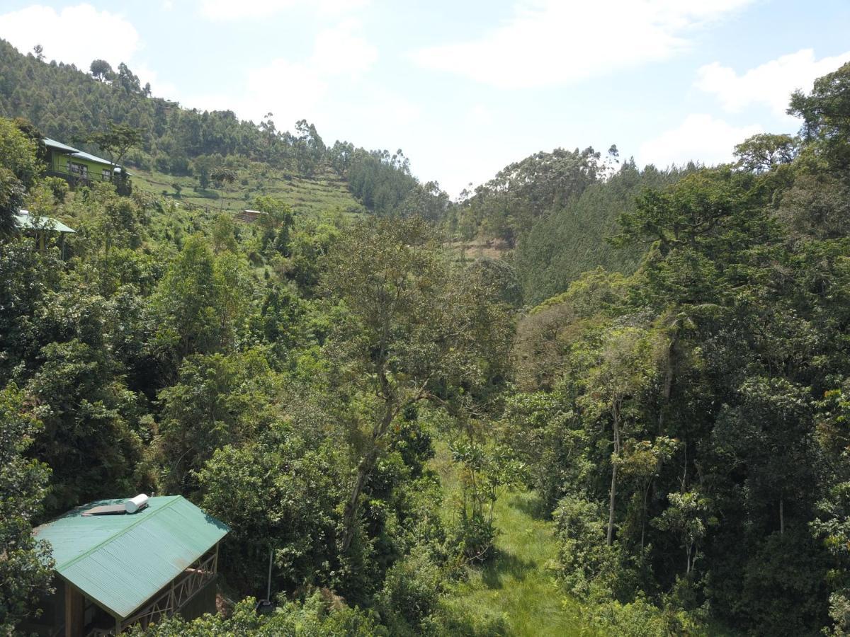 Gorilla Hills Eco-Lodge Kisoro Ngoại thất bức ảnh