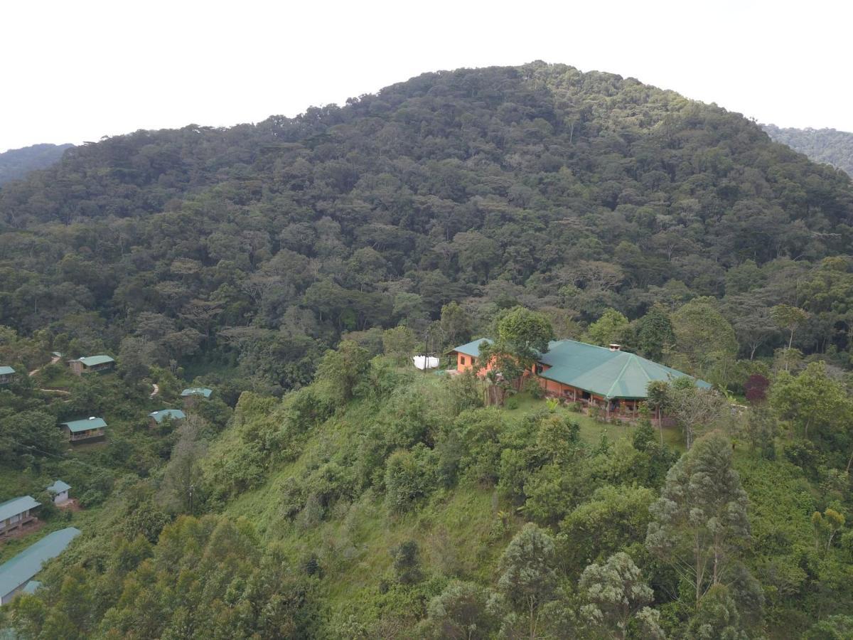 Gorilla Hills Eco-Lodge Kisoro Ngoại thất bức ảnh